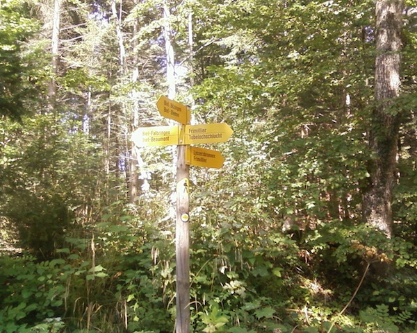 Wegweiser