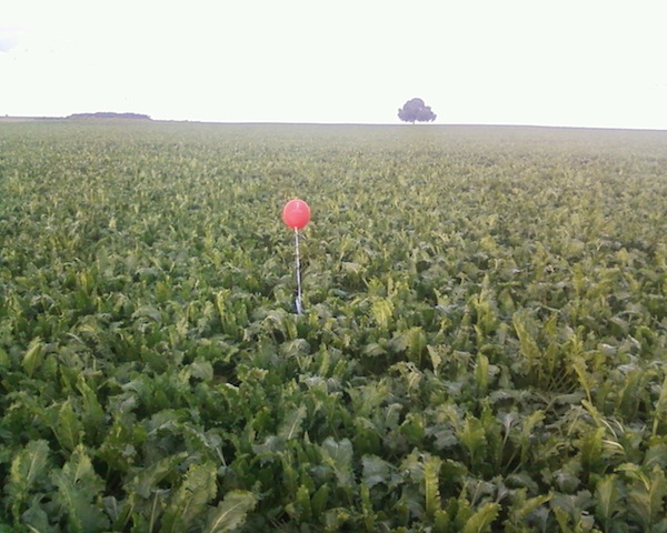 Ballon