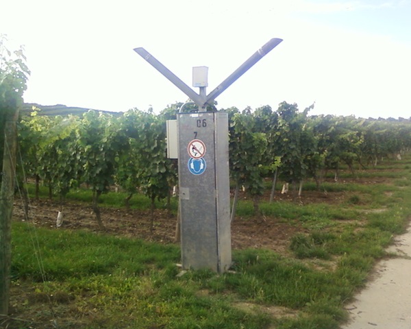 Vogelscheuche