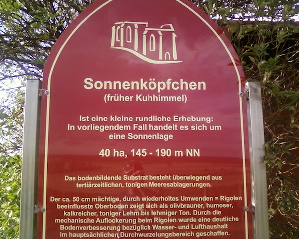 Kuhhimmel