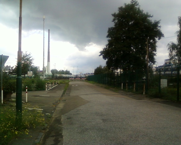 Bayer1